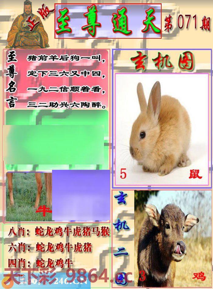 ：至通报